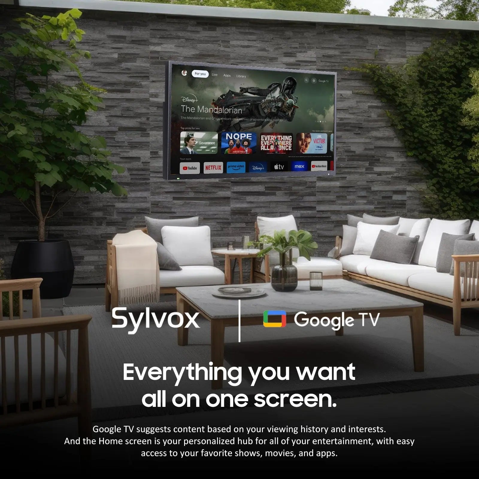 65" Outdoor TV(Google TV) - 2024 Deck Pro 2.0