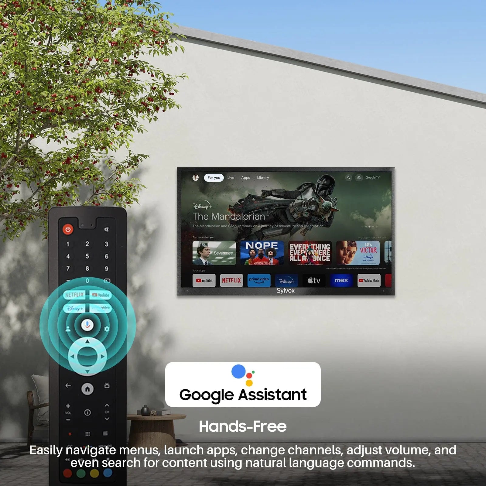 75" Outdoor TV(Google TV) - 2024 Deck Pro 2.0