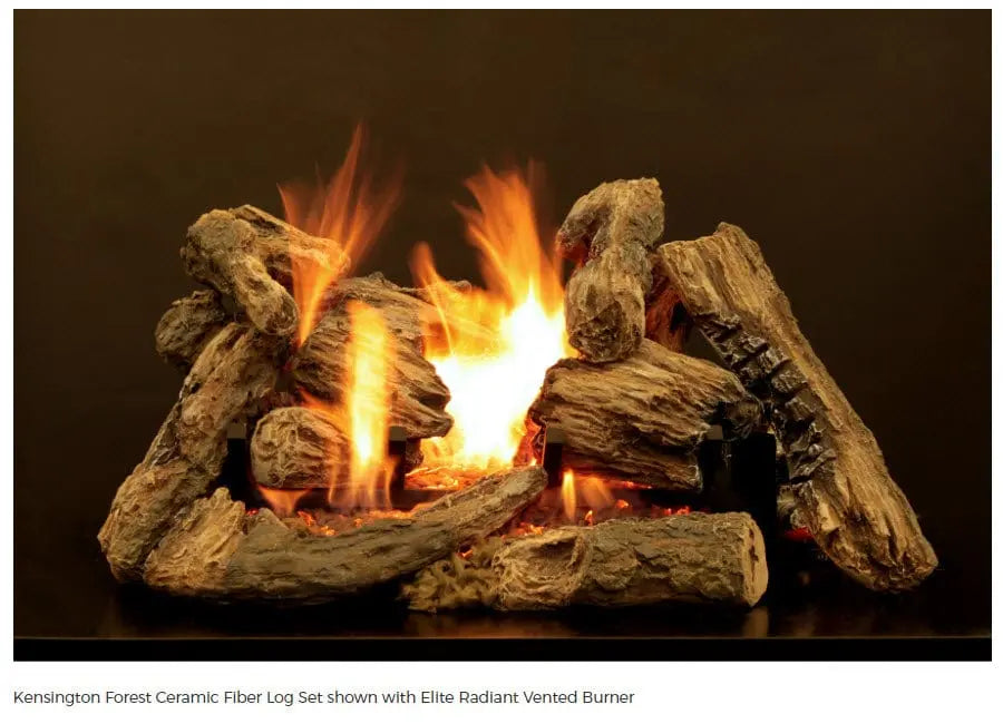 Empire Elite Radiant Vented Natural Gas Burner Only