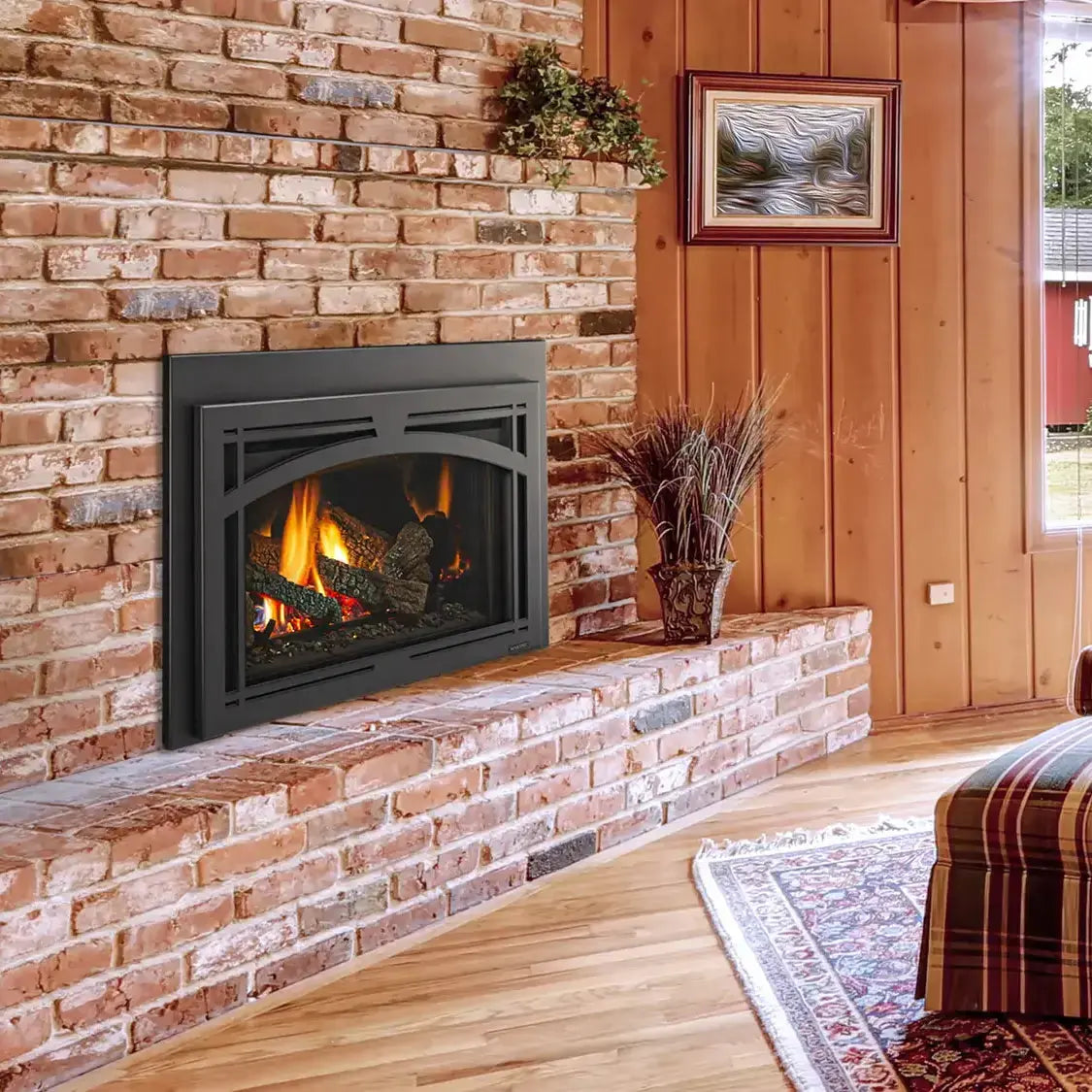 Majestic Trilliant Medium Direct Vent Gas Insert with 30" flame and control panel