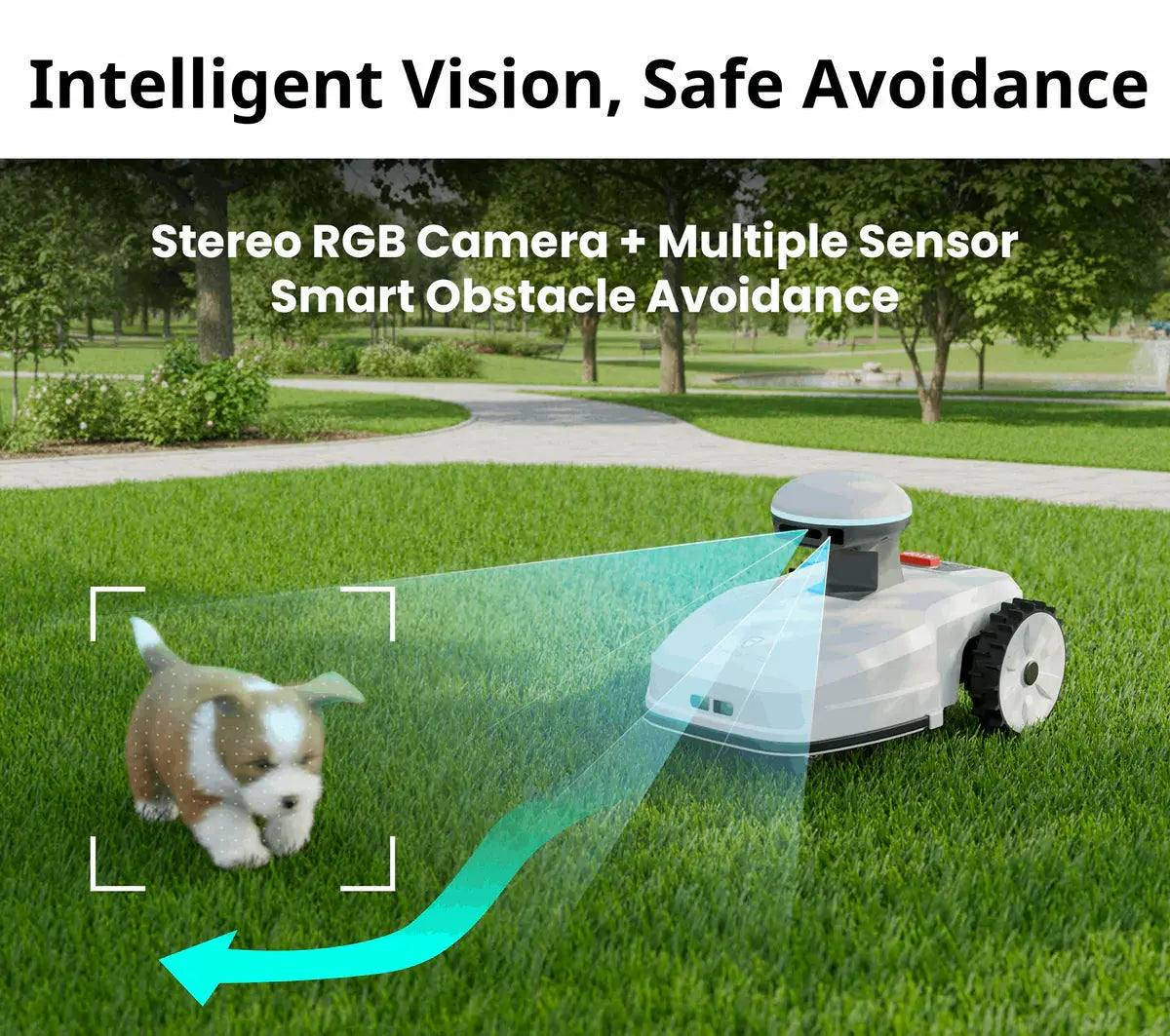 FJD - FR4000 Smart Wireless Robotic Lawn Mower - FR4000 | AQVINA - Aqvina LLC
