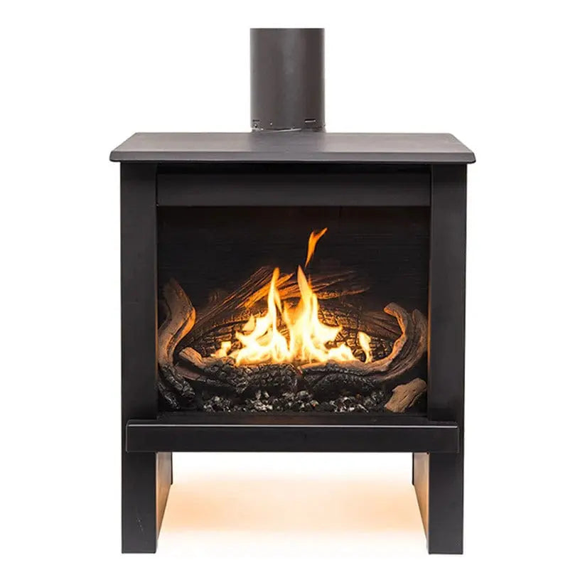 True North TN24 Direct Vent Gas Stove