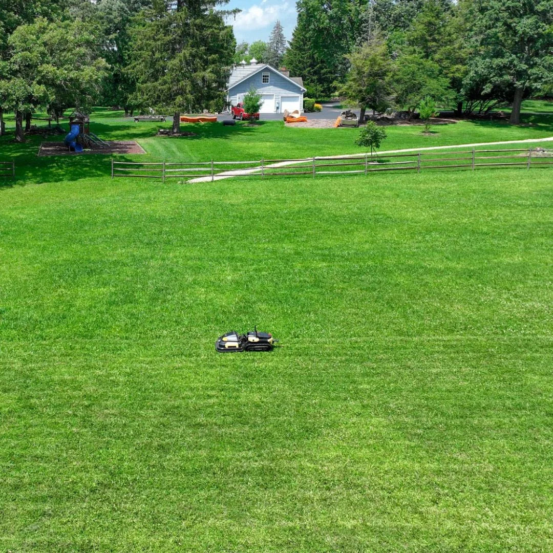 A small black and white robotic lawnmower is shown from above, mowing a large green grass lawn in a residential backyard setting with a house, trees, and fence in the background.