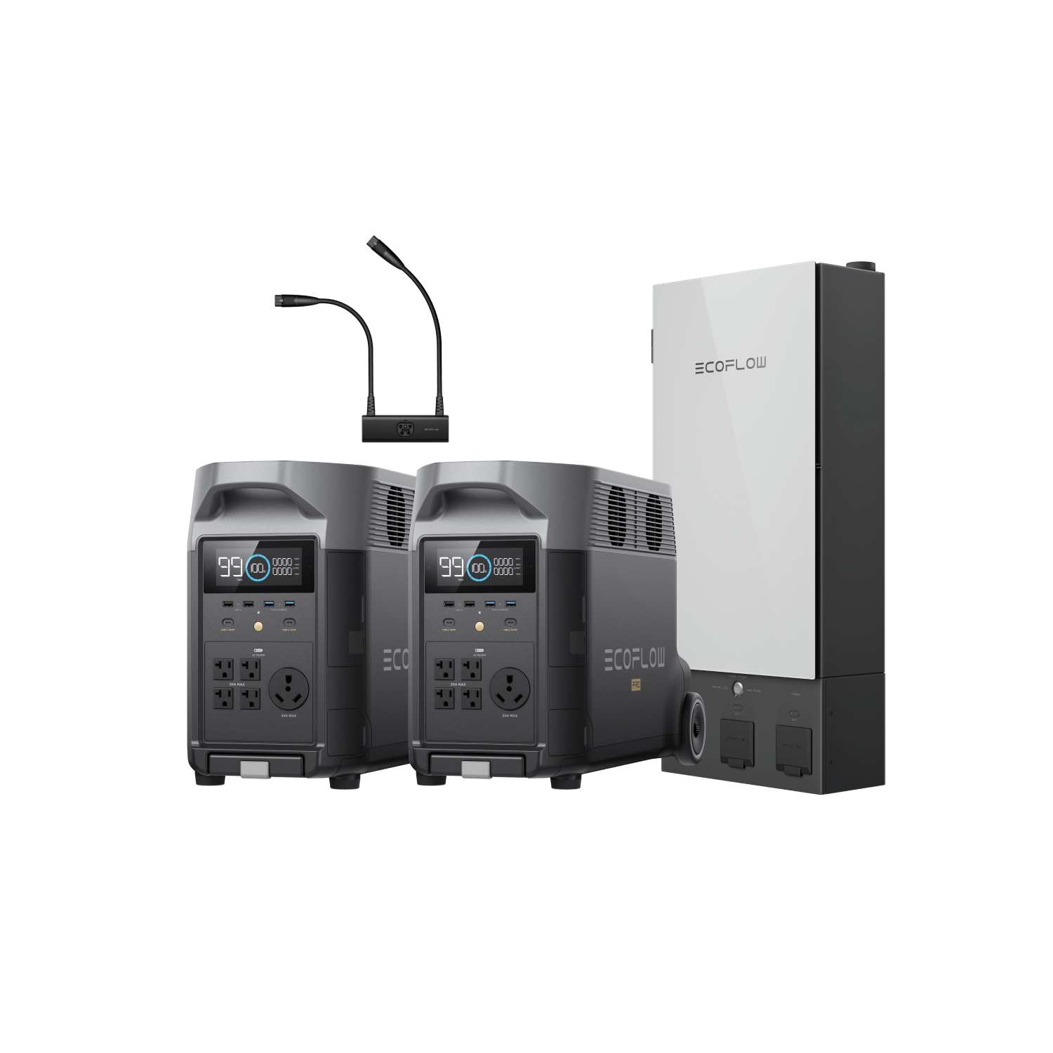 EcoFlow DELTA Pro*2 + Double Voltage Hub