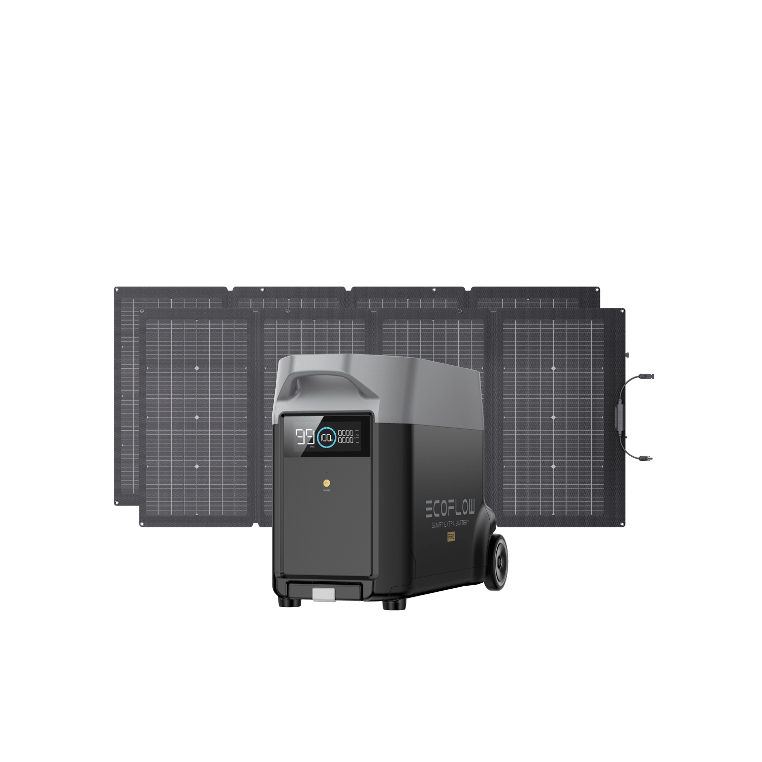 EcoFlow DELTA Pro Extra Battery + 2 × 220W Solar Panel