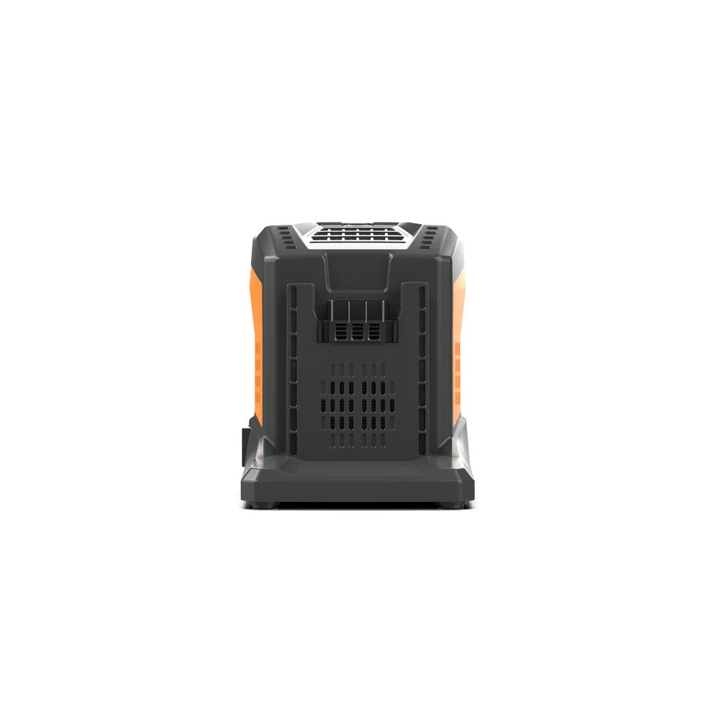 Sunseeker - 60V Charger 5.5A High Capacity | CGB6055 - Aqvina LLC