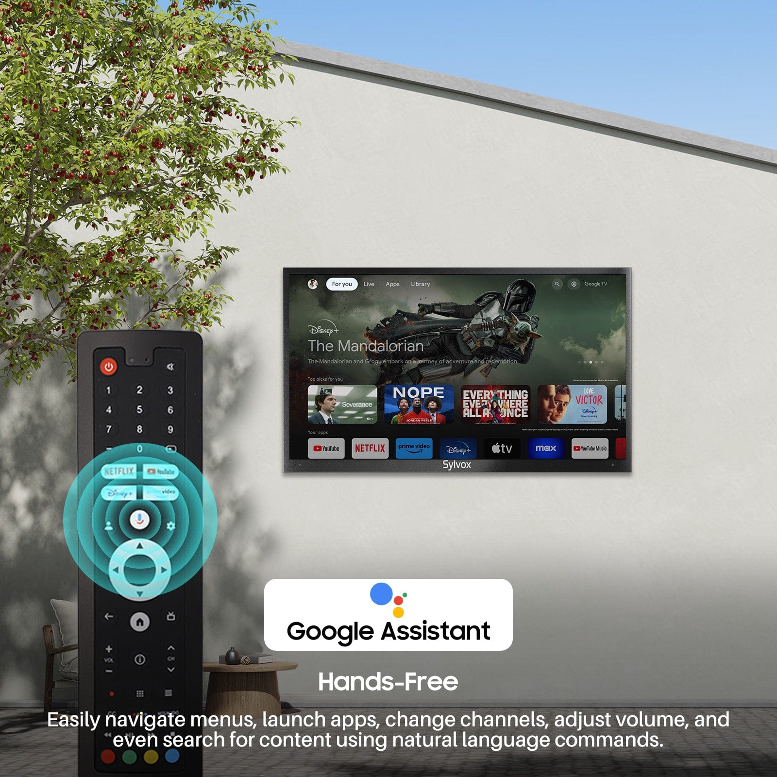 43" Outdoor TV(Google TV) - 2024 Deck Pro 2.0