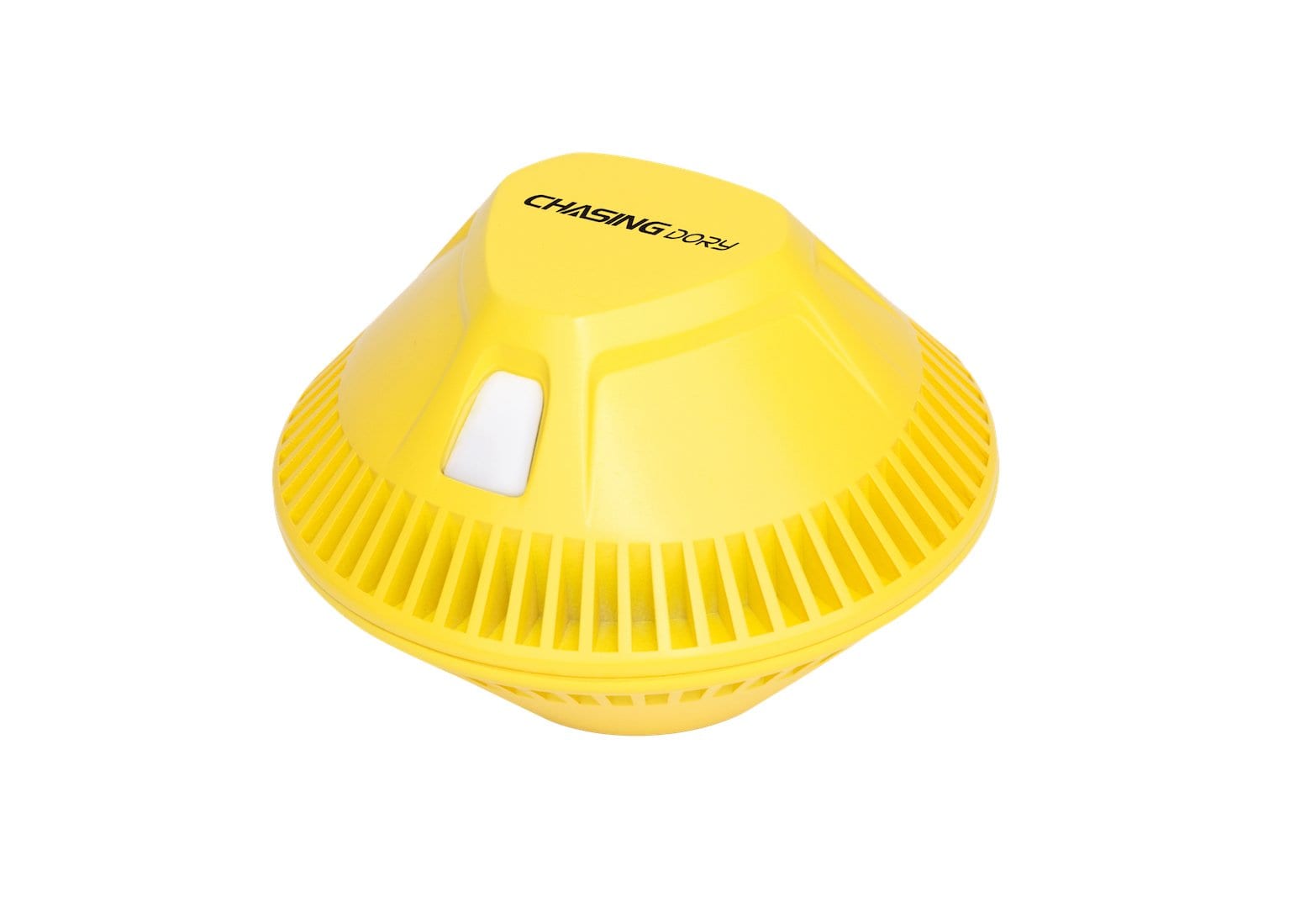 Chasing Dory Underwater ROV