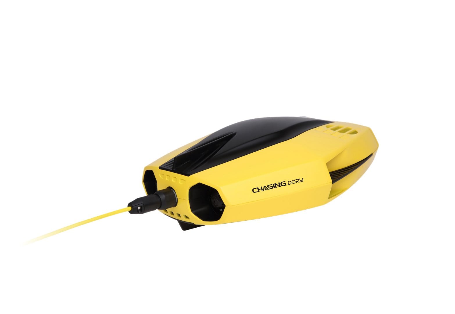 Chasing Dory Underwater ROV