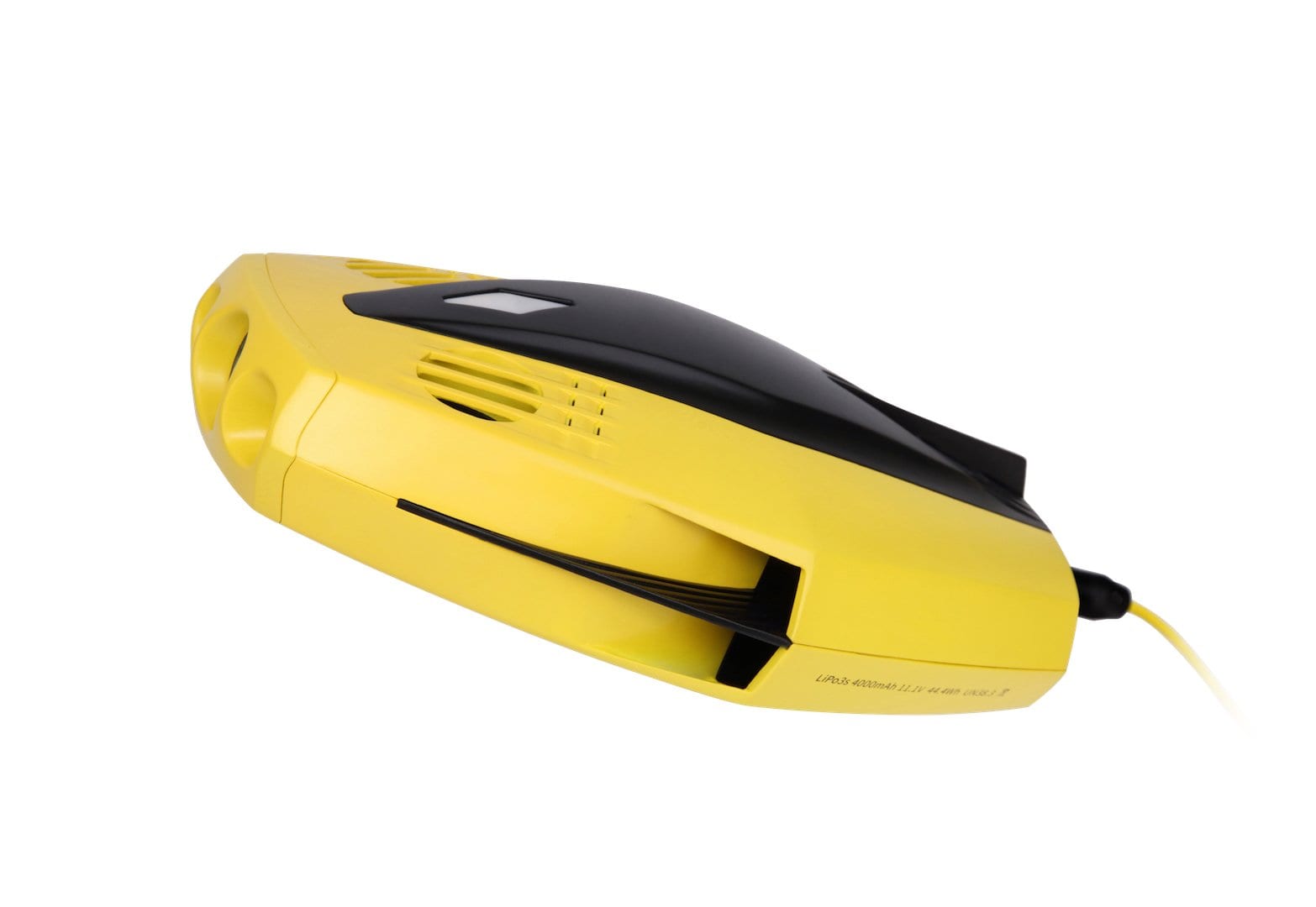 Chasing Dory Underwater ROV