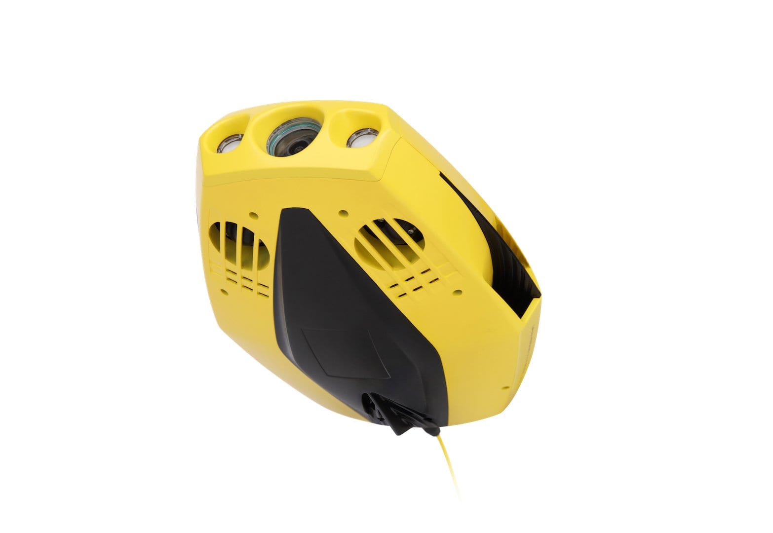 Chasing Dory Underwater ROV