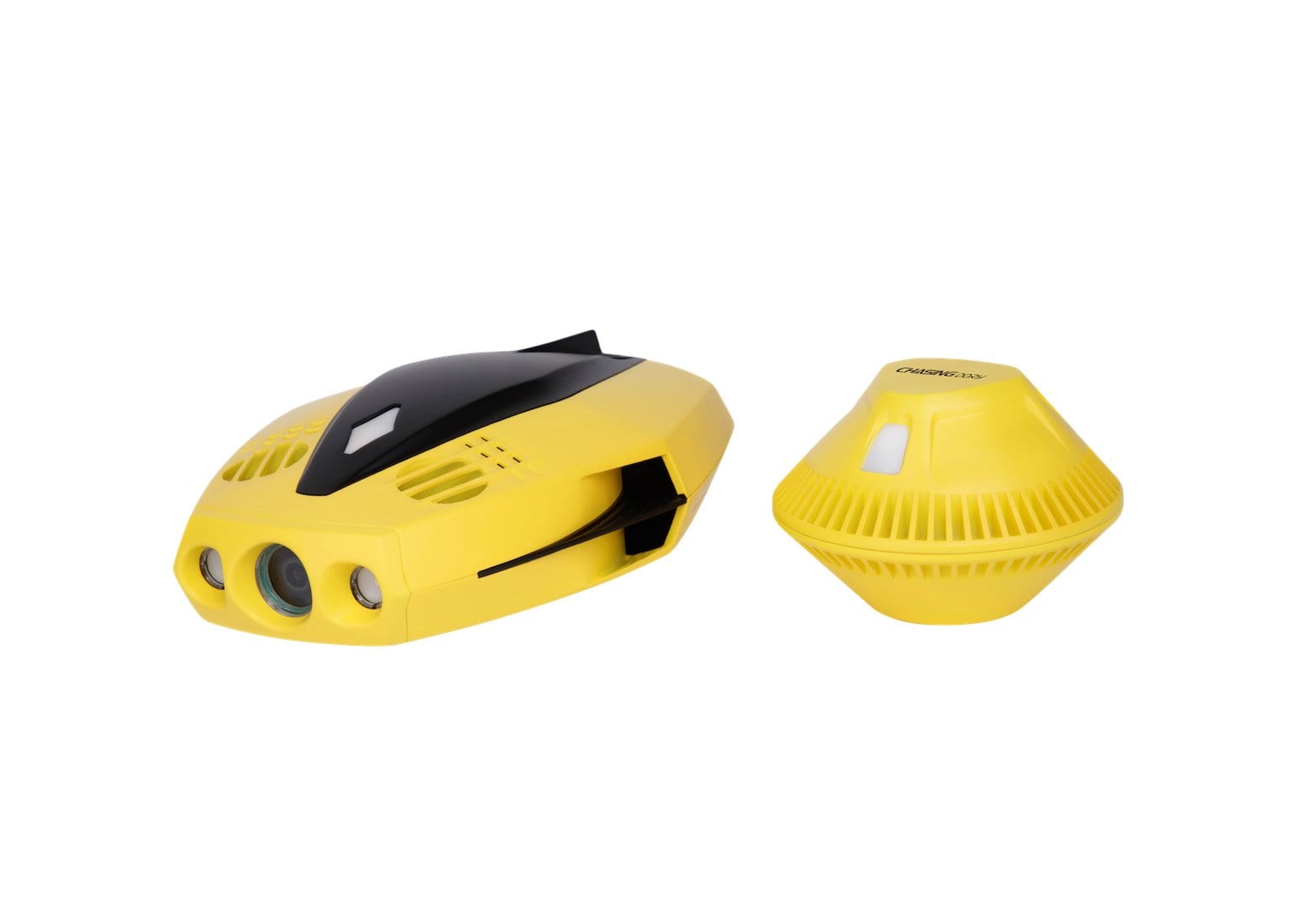 Chasing Dory Underwater ROV