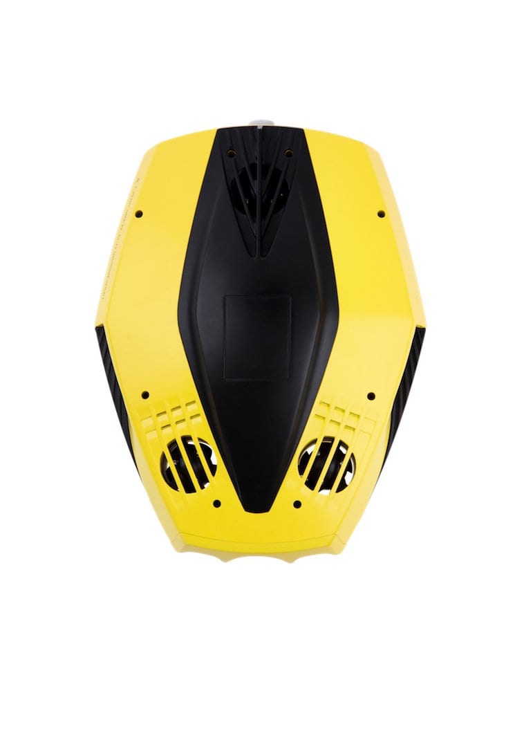 Chasing Dory Underwater ROV