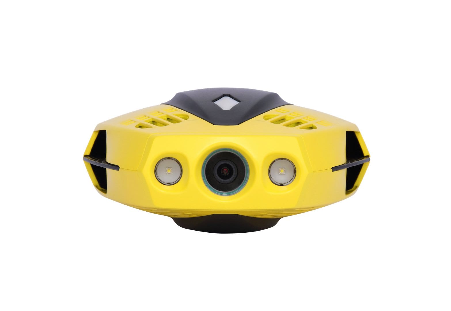 Chasing Dory Underwater ROV