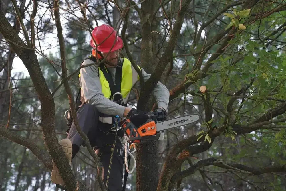 Sunseeker - Top Handle Chainsaw 14" Bar 1800W 60V | Model: TC717 SUNSEEKER