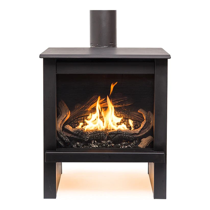 True North TN24 Direct Vent Gas Stove