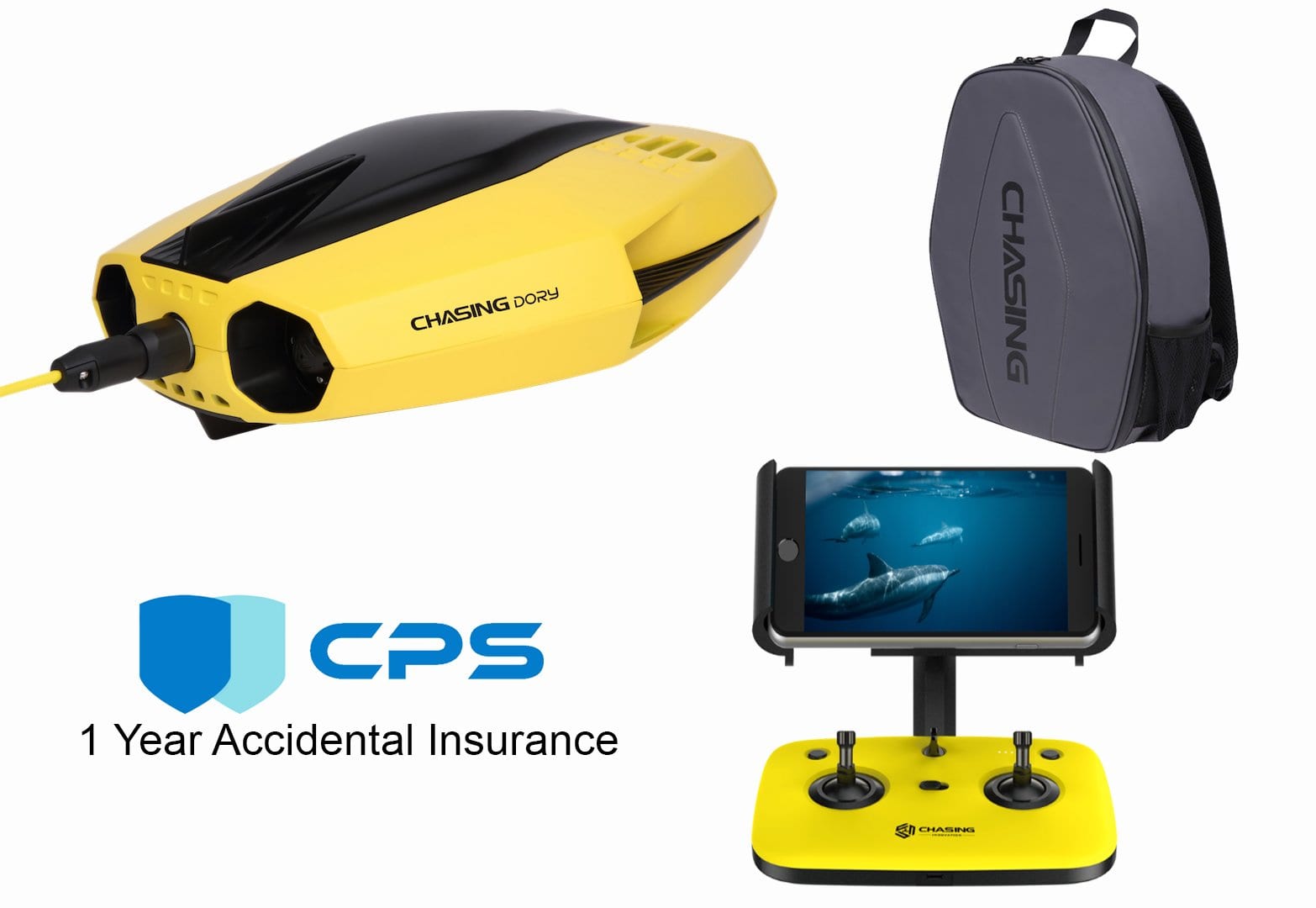 Chasing Dory Underwater ROV