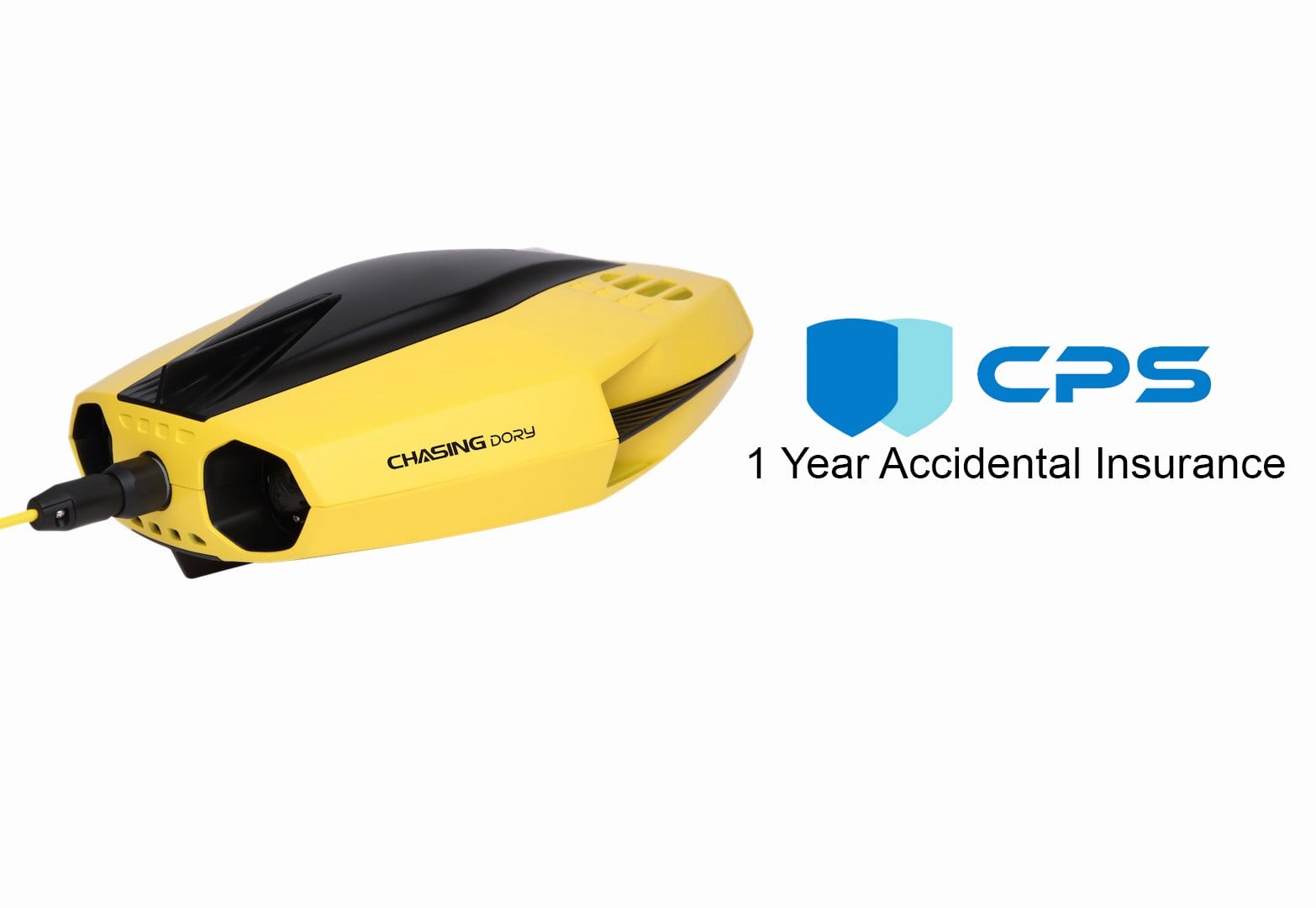 Chasing Dory Underwater ROV