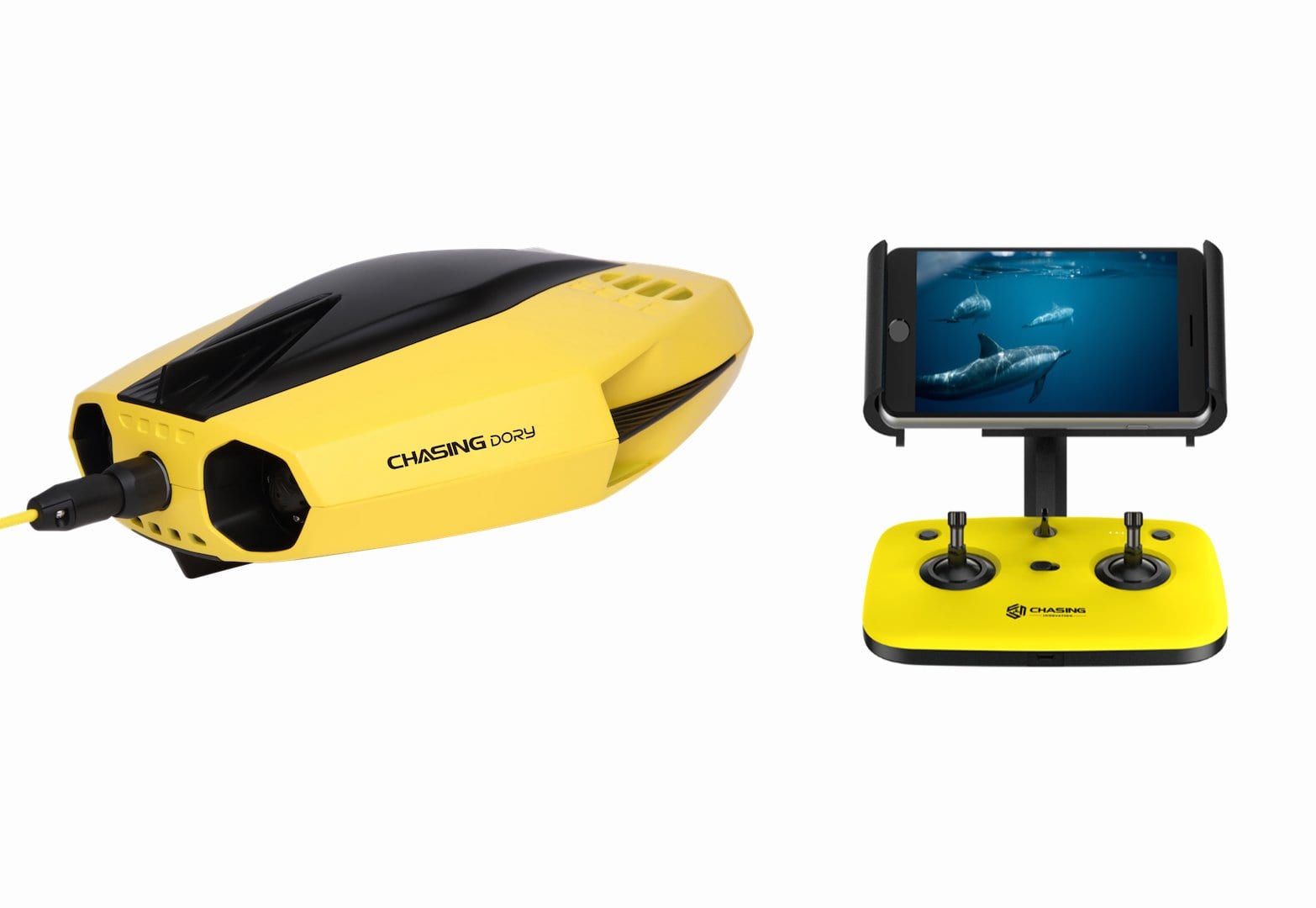 Chasing Dory Underwater ROV