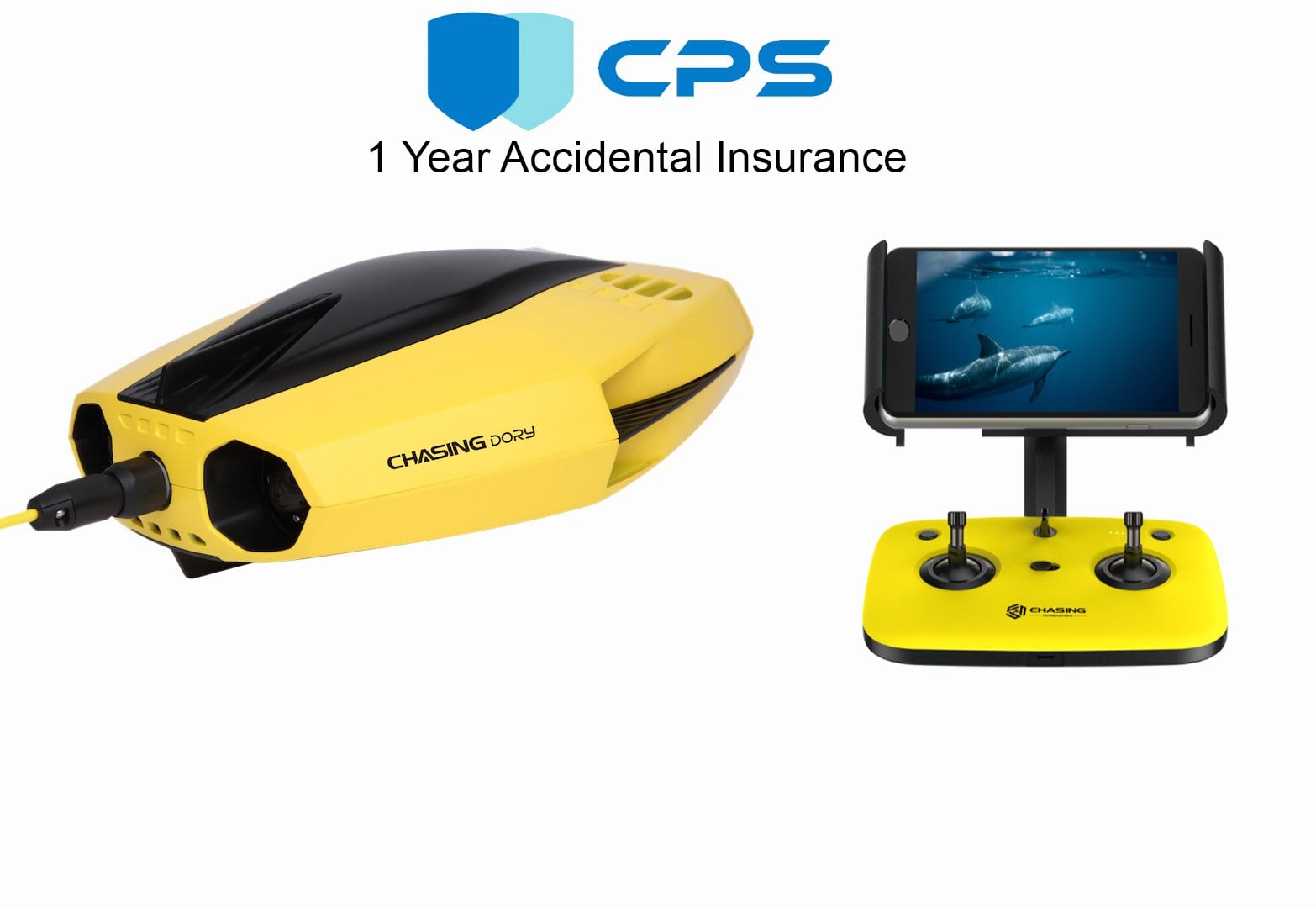 Chasing Dory Underwater ROV