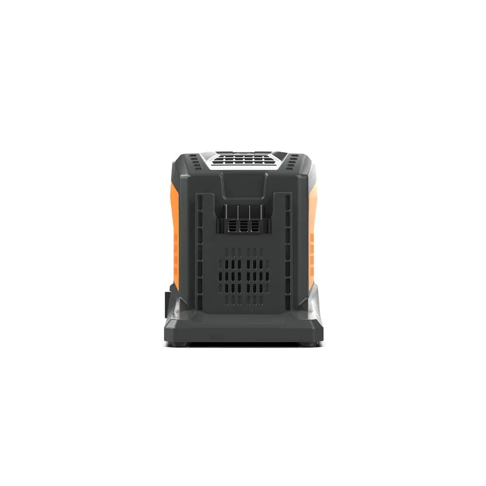 Sunseeker - 60V Charger 5.5A High Capacity | CGB6055 - Aqvina LLC
